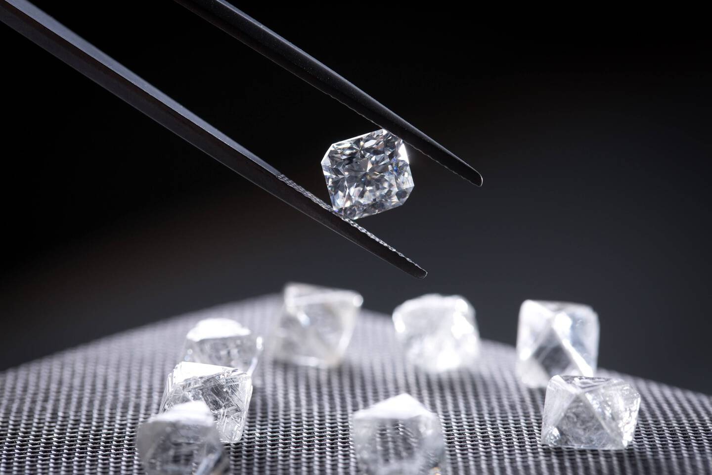 Rough Diamonds with Polished Diamond